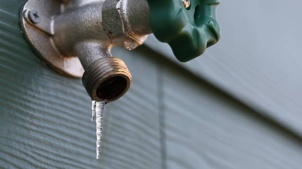 Best Shower Repair Services  in Howard City, MI