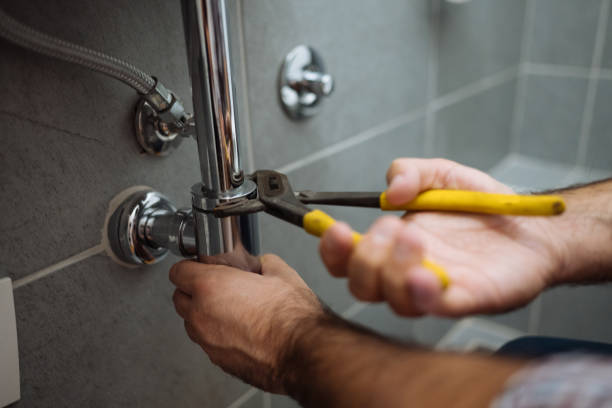 Best Affordable Plumbing Services  in Howard City, MI